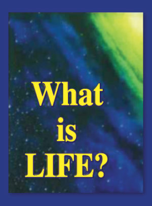 Tract: What Is Life? [100 Pack] PB - Victory Gospel Tracts